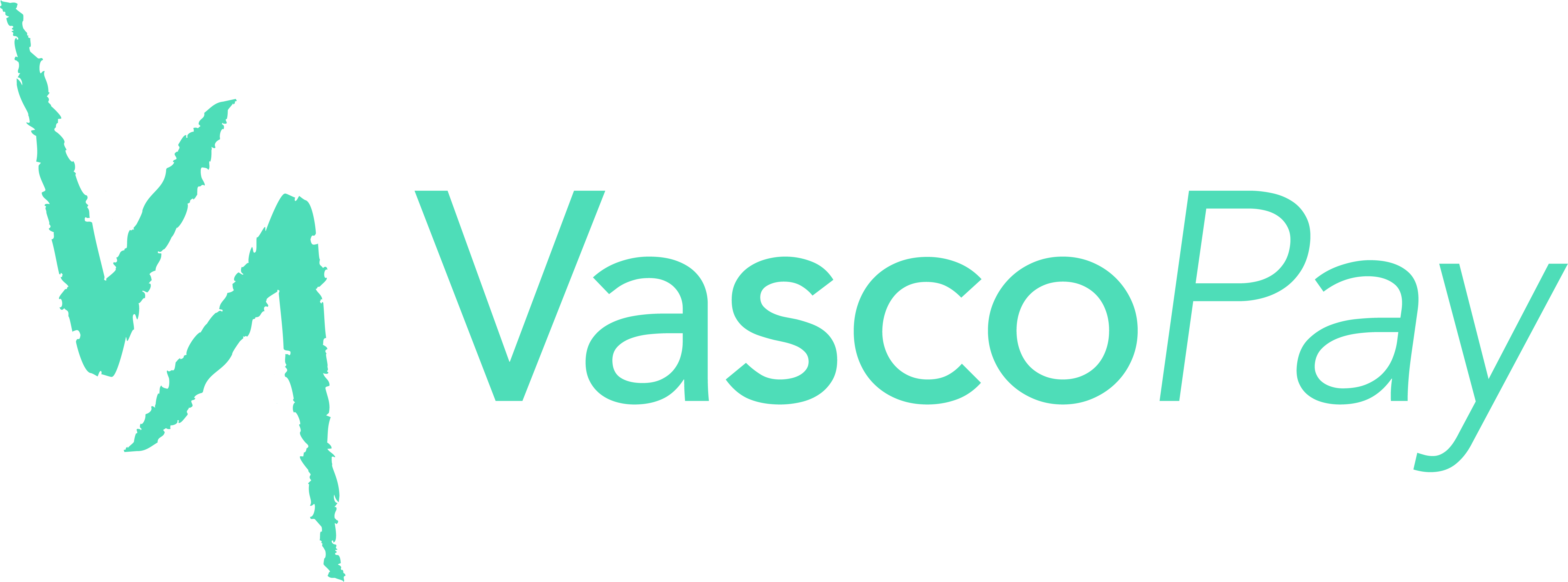 Vasco Pay